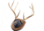 Walnut Hollow Antler Mount Kit 1302344