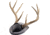 Walnut Hollow Antler Mount Kit 1302345