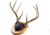 Walnut Hollow Antler Mount Kit 1302346