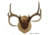 Walnut Hollow Antler Mounting, Kit Solid Oak 38324
