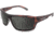 WarBird Enfilade Glasses