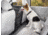WeatherTech Pet Partition, Black, 84PP01BK