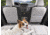 WeatherTech Pet Partition, Black, 84PP01BK