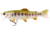 Westin Tommy The Trout Jointed Hybrid Swimbait, Low Floating, Smolt, 5-7/8in, 1-7/16oz, P060-257-025