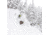 Weston Backwoods Carbon Splitboard, 160, 3044