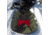 Weston Backwoods Snowboard, 163W, 106163W05G
