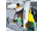 Weston Great White Skis, 176, 3105