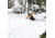 Weston Japow Snowboard, 159, 3071