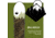 Weston Backwoods Snowboard, Green, 152, 22.006.005.152V0