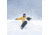 Weston Backwoods Snowboard, Green, 152, 22.006.005.152V0