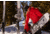 Weston Backwoods Splitboard Artist Series - 21/22, White, 163, 106163025G