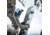 Weston Backwoods Splitboard, Green, 157, 22.006.025.157V0