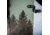 Weston Backwoods Splitboard, Green, 157, 22.006.025.157V0
