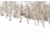 Weston Carbon Backwoods Splitboard - 21/22, White, 160, 106160045G