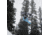 Weston Hatchet Snowboar, 152cm, 22.006.A05.152V0