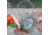 Weston Products Cone Strainer and Pestle Set, Stainless Steel 83-3030-W