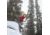 Weston Skyline Carbon Ski, Blue, 160, 22.006.731.160V0