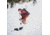 Weston Skyline Carbon Ski, Blue, 160, 22.006.731.160V0