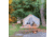 White Duck Alpha Wall Tent, Water Repellent, 10ft x 12ft, WD-0045