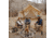 White Duck Alpha Wall Tent, Water Repellent, 14ft x 16ft, WD-0014