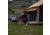 White Duck Altimus Bell Tent, Water Repellent, 18ft, WD-RBT-59