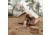 White Duck Rover Scout Tent w/ Jack Stove, Water Repellent, Sandstone Beige, 8ftx9ft, WD-RBT-37