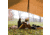 White Duck Sunshade Tarp 330 w/ Poles, 13ft x 13ft/4 x 4 m, SS-4x4-WR
