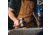 White Duck Work Apron, Brown, WWD-002