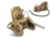 Wilcox Ground Spec Goggle Mount, Tan, 62101G01-T