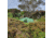 WildCountry Zephyros Compact Tent - 2 Person, Green, 44ZC2V3