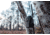 Wildgame Terra XT 2.0 Cellular Camera 24MP, 1410205