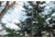 Wildgame Terra XT 2.0 Cellular Camera 24MP, 1410205