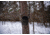 Wildgame Terra XT 2.0 Cellular Camera 24MP, 1410205