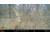 Wildgame Terra XT 2.0 Cellular Camera 24MP, 1410205