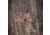 Wildlife Research Center Active-Branch Mock Scrape Kit