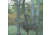 Wildlife Research Center Active-Branch Mock Scrape Kit