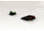 Williams Gun Sight Self Defense Pistol Sights, Ruger LC9 &amp; LC380, Green/Red, 47499