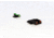 Williams Gun Sight Self Defense Pistol Sights, S&amp;W Bodyguard 380, Green/Red, 70993