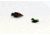 Williams Gun Sight Self Defense Pistol Sights, S&amp;W Bodyguard 380, Green/Red, 70993