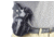 Wilson Combat Lo-Profile Thumb Break Holster, Compact 1911, Right Hand, 1.5in Belt, Black Leather LPTB2BLR15