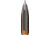 Winchester Ballistic Silvertip .308 Winchester 168 grain Fragmenting Polymer Tip Brass Cased Centerfire Rifle Ammo, 20 Rounds, SBST308A