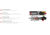Winchester Blind Side Shotgun Shot, 12 Gauge, 3in Shot Length, 1 3/8oz Shot Weight, BB Shot Size, 25 Rounds, SBS123BB