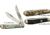 Winchester Knives 3 7/8in, 2 Blade Trapper w/ Celluloid Handle W 18 20004