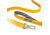 Winchester Pet Webbed Leash, Hawaiian Sunset, 6 foot, WP-WL-HS-6-1