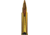 Winchester Varmint LF .17 Hornady Magnum Rimfire 15.5 grain NTX Polymer Tip Rimfire Ammo, 50 Rounds, S17HMR1LF