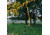 Wind Pro Scrape Vine, Brown, WPHD2