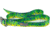 Wingo Outdoors Basecamp Belt, Mahi Mahi, One Size Fits Most, W-BAS-109-OS