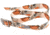 Wingo Outdoors Basecamp Belts, Quail, One Size Fits Most, W-BAS-302-OS
