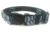 Wingo Outdoors Dog Collar, Bonefish, Large/X-Large, W-COL-102-LXL