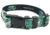 Wingo Outdoors Dog Collar, DeYoung Saltwater, Large/X-Large, W-COL-604-LXL